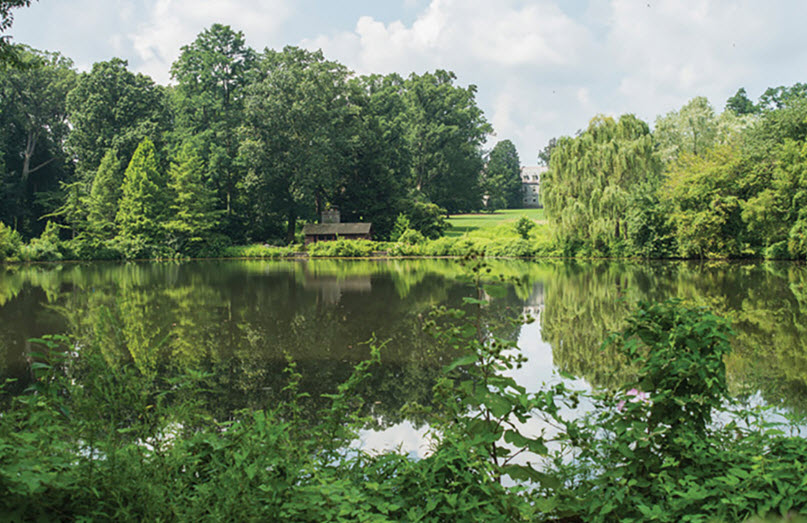 Haverford College Arboretum, United States